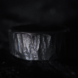 Black Stainless Steel Ring