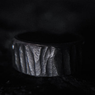 Black Stainless Steel Ring