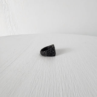 Dusk's Chains - Signet Ring - Midnight's Honor - Stainless Steel Ring