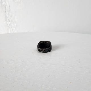 Dusk's Chains - Signet Ring - Midnight's Honor - Stainless Steel Ring