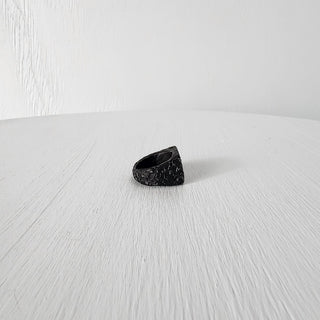 Dusk's Chains - Signet Ring - Midnight's Honor - Stainless Steel Ring