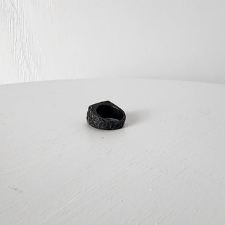 Dusk's Chains - Signet Ring - Midnight's Honor - Stainless Steel Ring