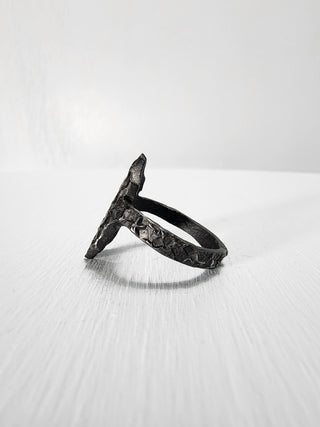 Black Gothic Stainless Steel Ring