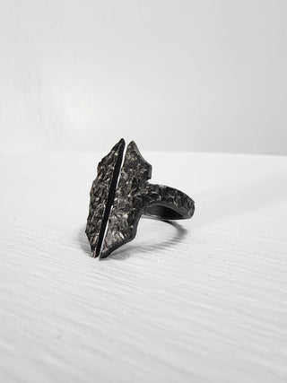 Black Gothic Stainless Steel Ring