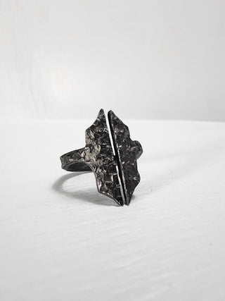 Black Gothic Stainless Steel Ring