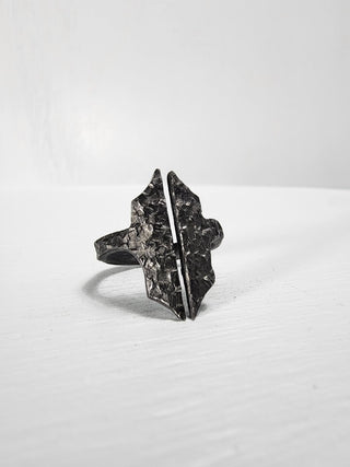 Black Gothic Stainless Steel Ring