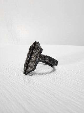 Black Gothic Stainless Steel Ring