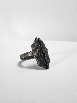 Black Gothic Stainless Steel Ring