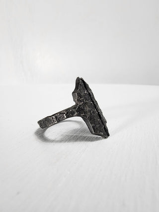 Black Gothic Stainless Steel Ring