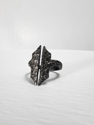 Black Gothic Stainless Steel Ring