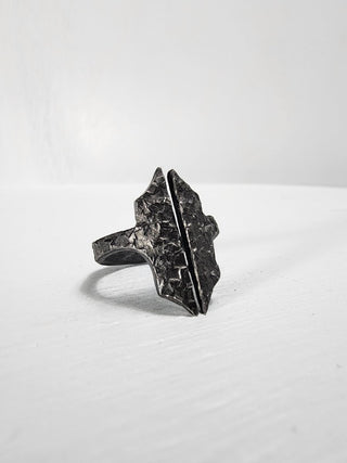 Black Gothic Stainless Steel Ring