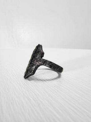 Black Gothic Stainless Steel Ring