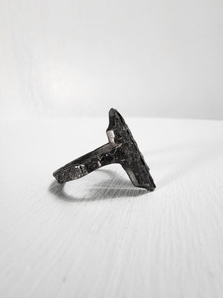 Black Gothic Stainless Steel Ring