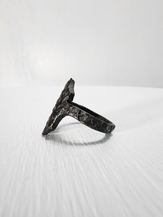 Black Gothic Stainless Steel Ring