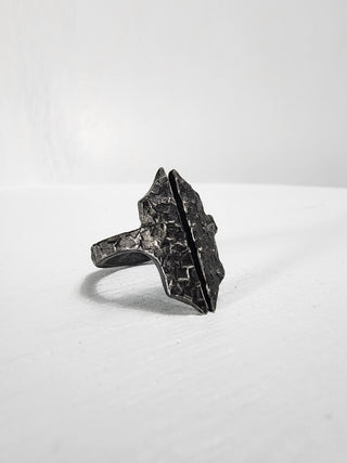 Black Gothic Stainless Steel Ring