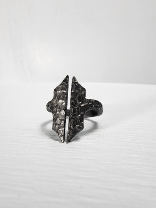 Black Gothic Stainless Steel Ring