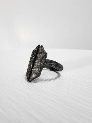 Black Gothic Stainless Steel Ring