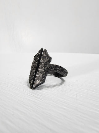 Black Gothic Stainless Steel Ring