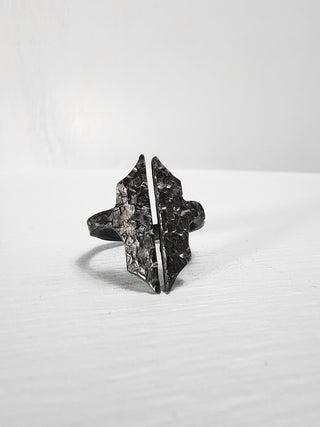 Black Gothic Stainless Steel Ring