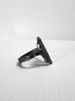 Black Gothic Stainless Steel Ring