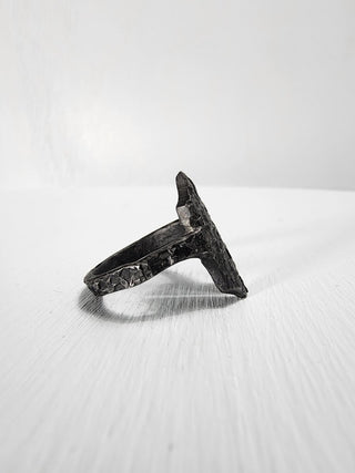 Black Gothic Stainless Steel Ring