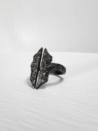 Black Gothic Stainless Steel Ring