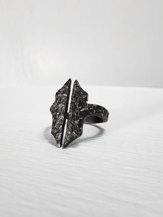 Black Gothic Stainless Steel Ring