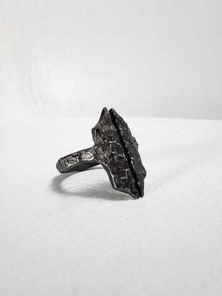 Black Gothic Stainless Steel Ring