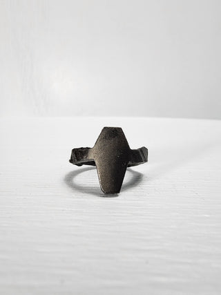 Black Gothic Coffin Stainless Steel Ring