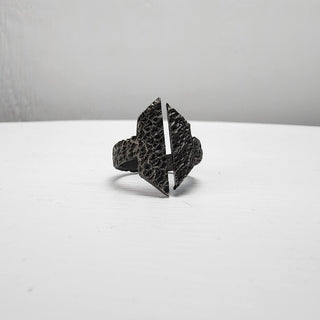 Black Textured Stainless Steel Ring with Split Facing