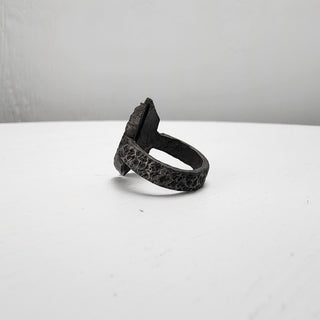 Black Textured Stainless Steel Ring with Split Facing